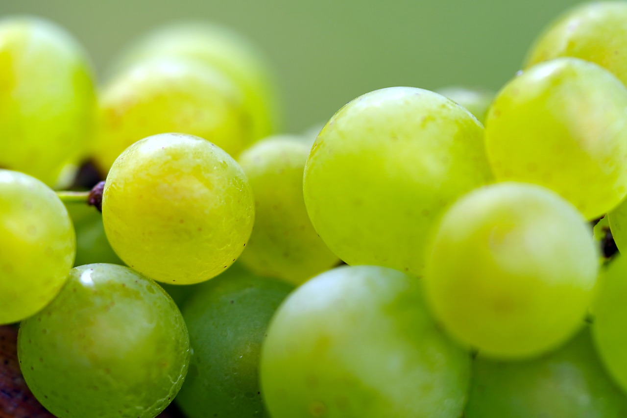 Image of Fresh Seedless Grapes